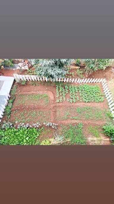 Saifarms Private Farmhouse Between Pune & Lonavala Nethersole Dam Exteriör bild