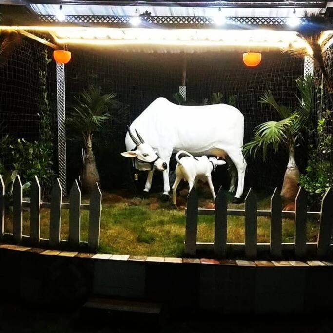 Saifarms Private Farmhouse Between Pune & Lonavala Nethersole Dam Exteriör bild