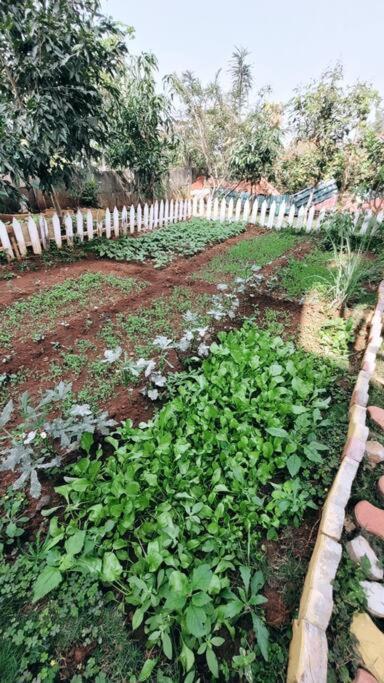 Saifarms Private Farmhouse Between Pune & Lonavala Nethersole Dam Exteriör bild