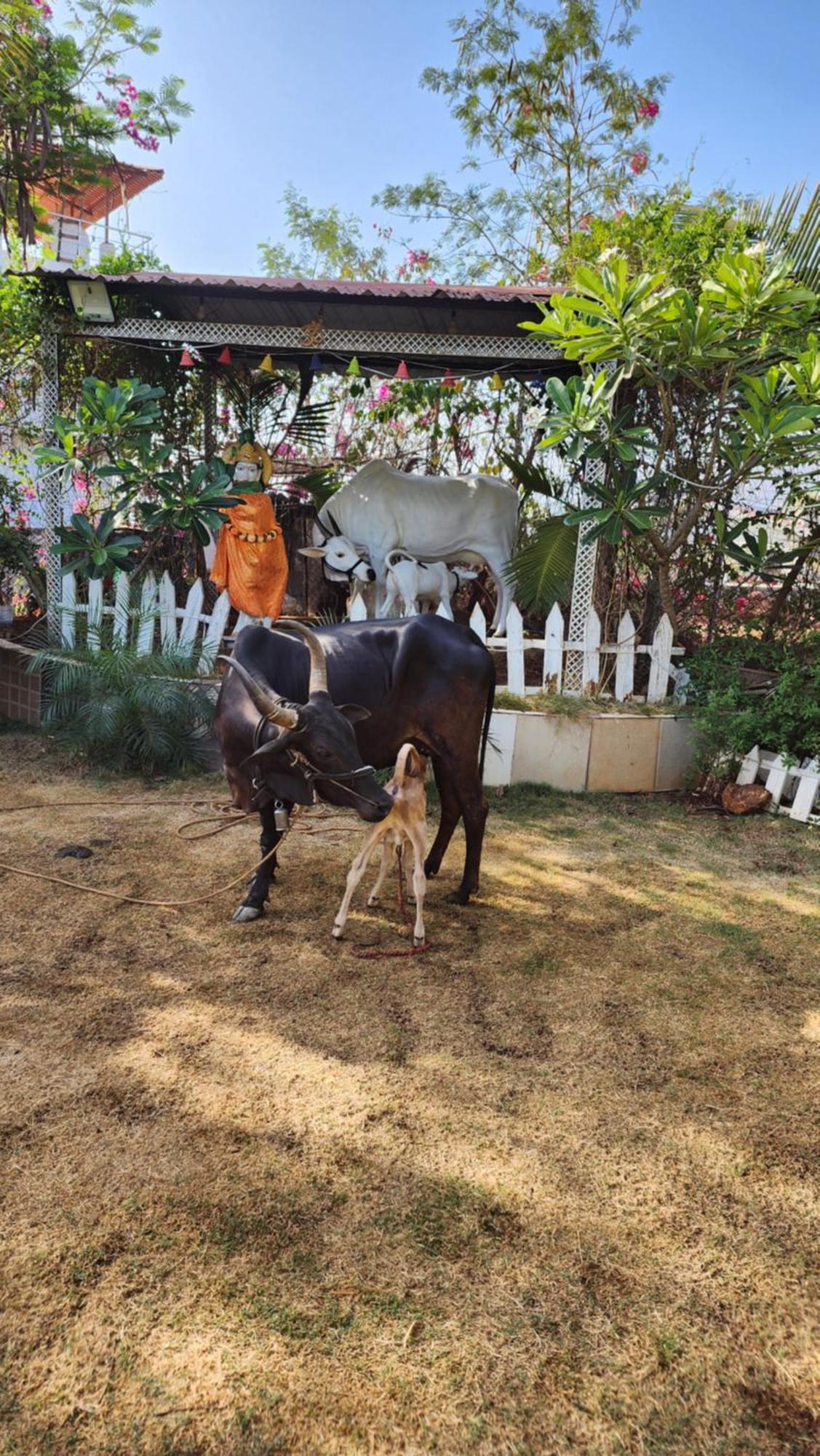 Saifarms Private Farmhouse Between Pune & Lonavala Nethersole Dam Exteriör bild